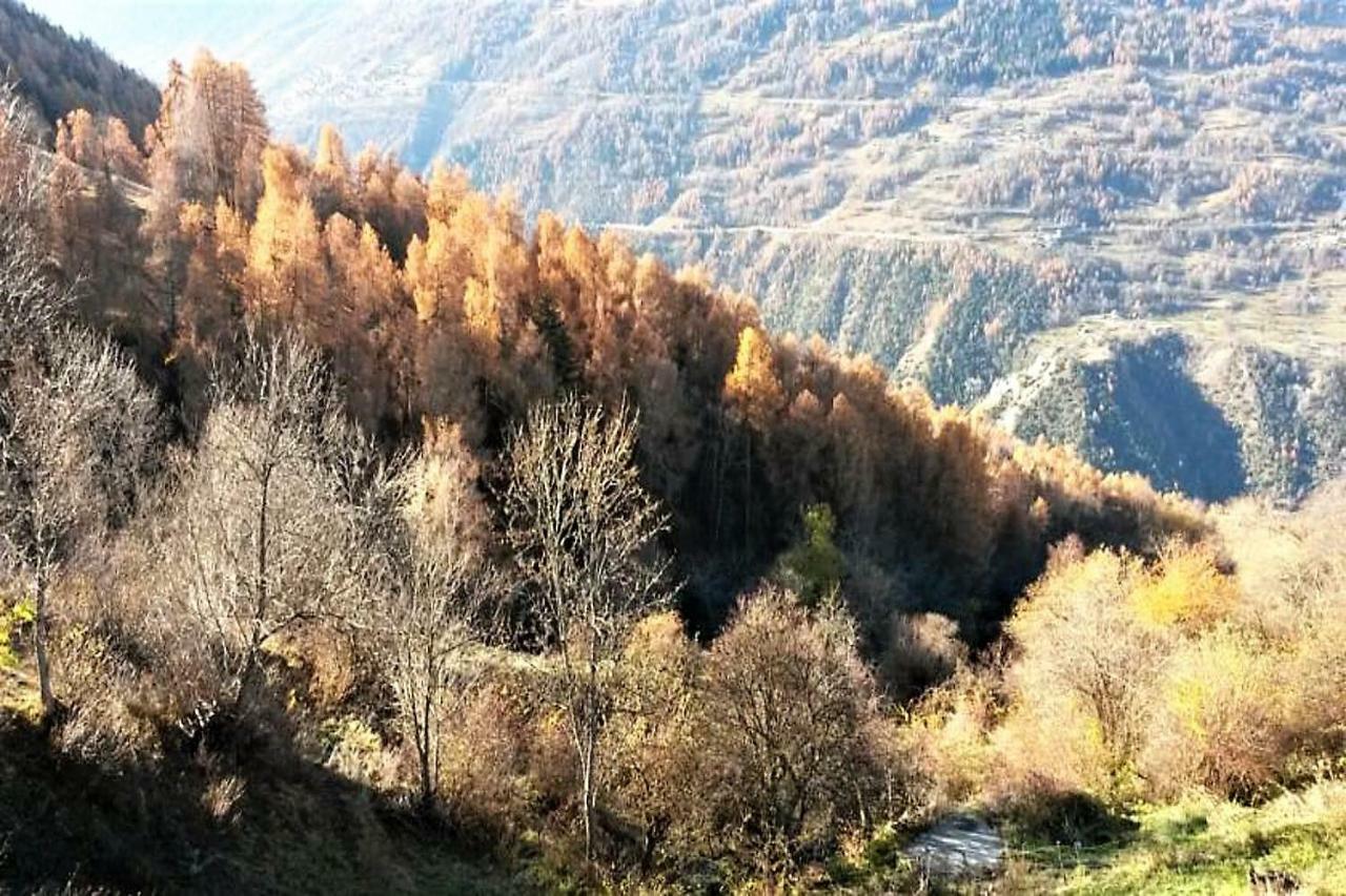 La Chaumiere D'Herens Vernamiège Kültér fotó